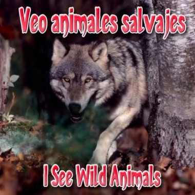 Veo animales salvajes = I see wild animals