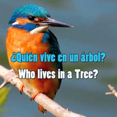 ¿Quién vive en un árbol? = Who lives in a tree?
