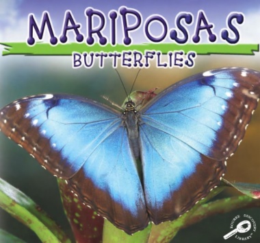 Mariposas = Butterflies