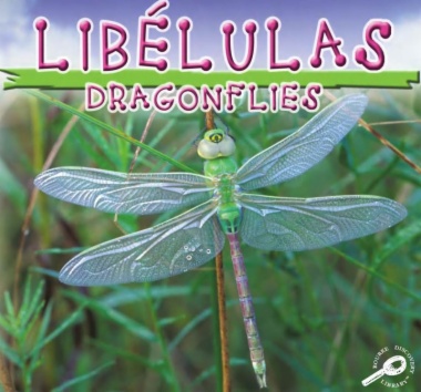 Libélulas = Dragonflies