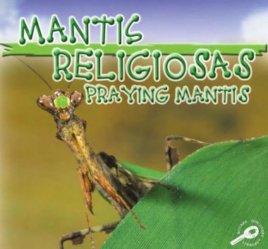 Mantis religiosas = Praying mantis