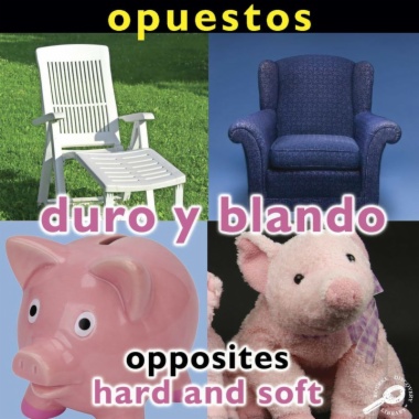 Opuestos : duro y blando = Opposites : hard and soft