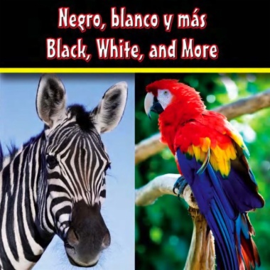 Negro, blanco y más = Black, white, and more