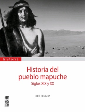 Historia del pueblo mapuche. Siglos XIX y XX