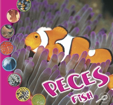 Peces = Fish
