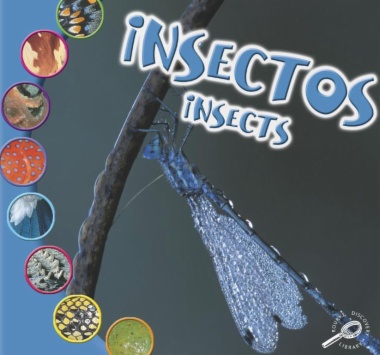 Insectos = Insects
