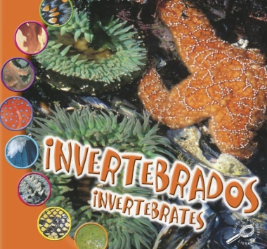 Invertebrados = Invertebrates