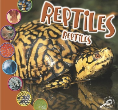 Reptiles = Reptiles