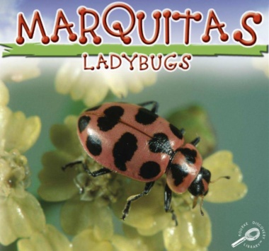 Mariquitas = Lady bugs