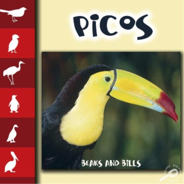 Picos = Beaks and bills