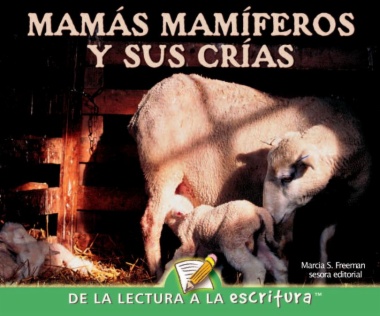 Mamas mamíferos y sus crías