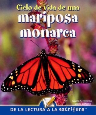 Ciclo de vida de una mariposa monarca