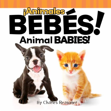 ¡Animales bebés! = Animal Babies!