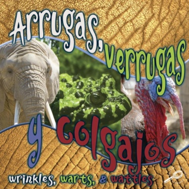 Arrugas, verrugas y colgajos = Wrinkles, warts, and wattles