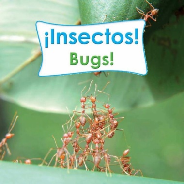 ¡Insectos! = Bugs!