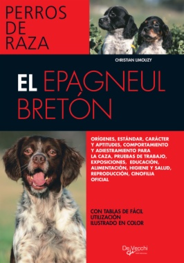 El Épagneul Bretón