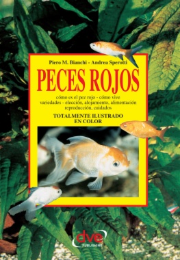 Peces rojos