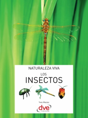 Imagen de apoyo de  Los insectos
