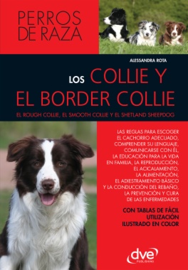 Los collie y el border collie