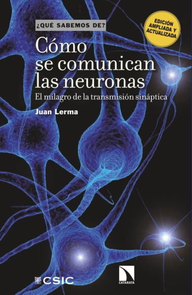 Cómo se comunican las neuronas