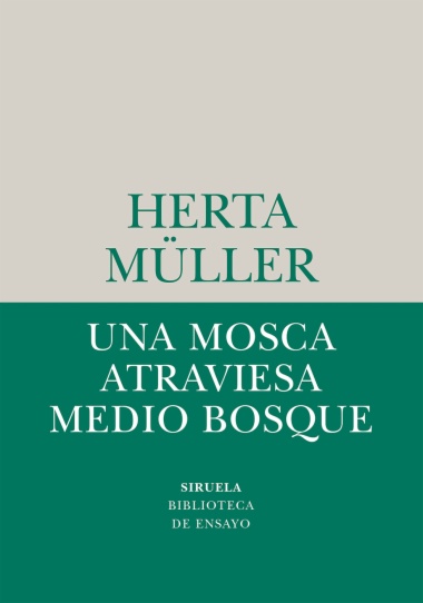 Una mosca atraviesa medio bosque