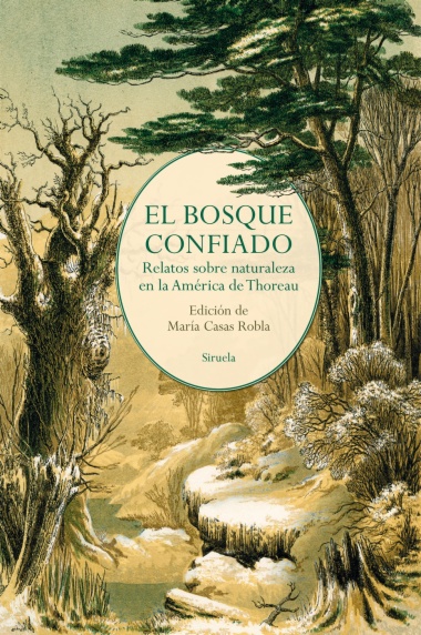 El bosque confiado