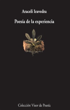 Imagen de apoyo de  Poesía de la experiencia