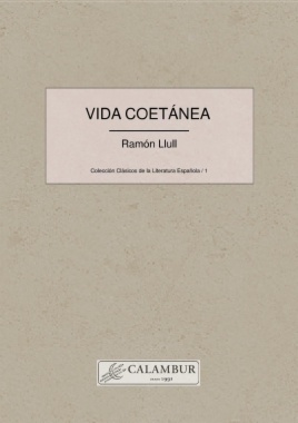 Imagen de apoyo de  Teoría y práctica de la novela posmoderna : La posmodernidad desde el siglo XXI (Edición revisada y ampliada)