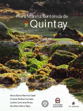 Flora marina bentónica de Quintay