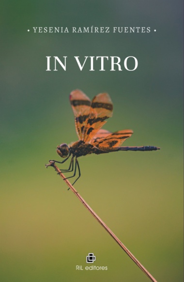 In Vitro