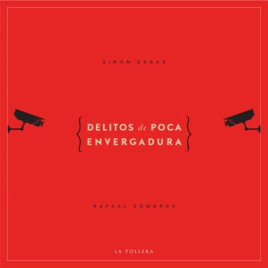 Delitos de poca envergadura