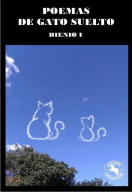 Poemas de gato suelto: bienio I