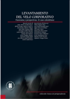 Levantamiento del velo corporativo : panorama y perspectivas : el caso colombiano