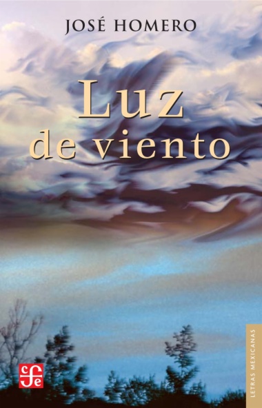 Luz de viento