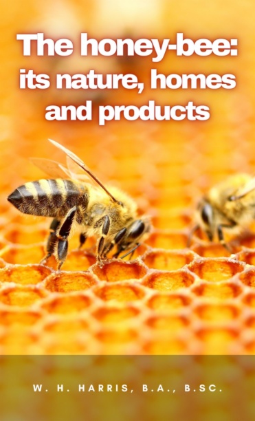Imagen de apoyo de  The honey-bee: its nature, homes and products