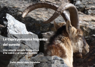 La Capra pyrenaica hispanica del sureste