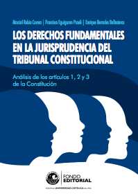 Los derechos fundamentales en la jurisprudencia del Tribunal Constitucional