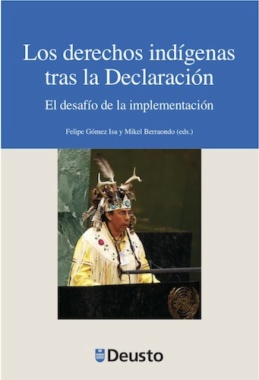 Los derechos indígenas tras la Declaración : el desafío de la implementación
