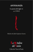 La Poesía del siglo XX en Chile