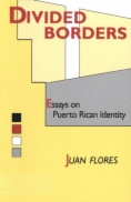 Divided Borders : Essays on Puerto Rican Identity
