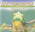Saltamontes = Katydids