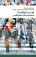 Capital social: enfoques alternativos