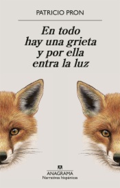 En todo hay una grieta y por ella entra la luz