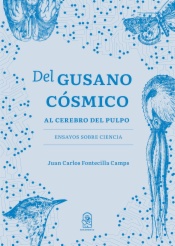 Del gusano cósmico
