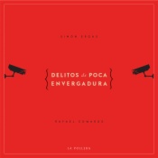 Delitos de poca envergadura