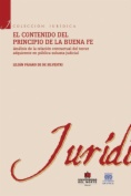 El contenido del principio de la buena fe :  Análisis de la relación contractual del tercer adquiriente en pública subasta judicial
