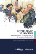 Jurisprudencia de principios. Metodología para la interpretación judicial de los derechos fundamentales