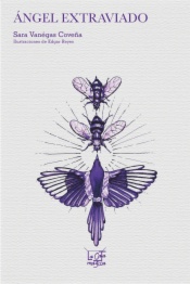 Angel extraviado