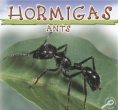 Hormigas = Ants