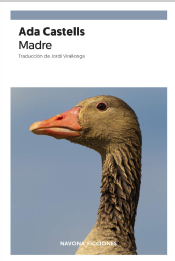 Madre